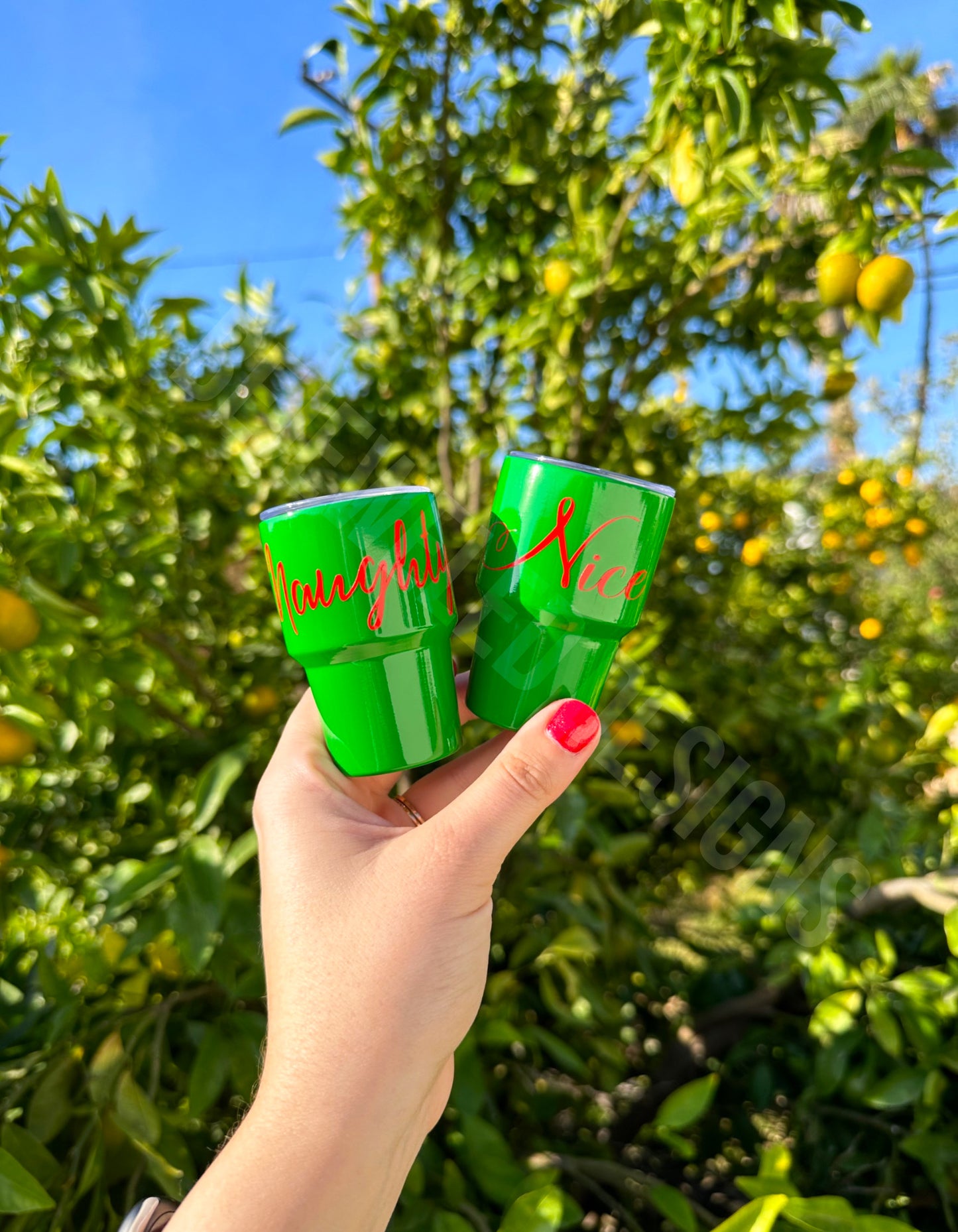 Naughty or Nice Mini Tumbler
