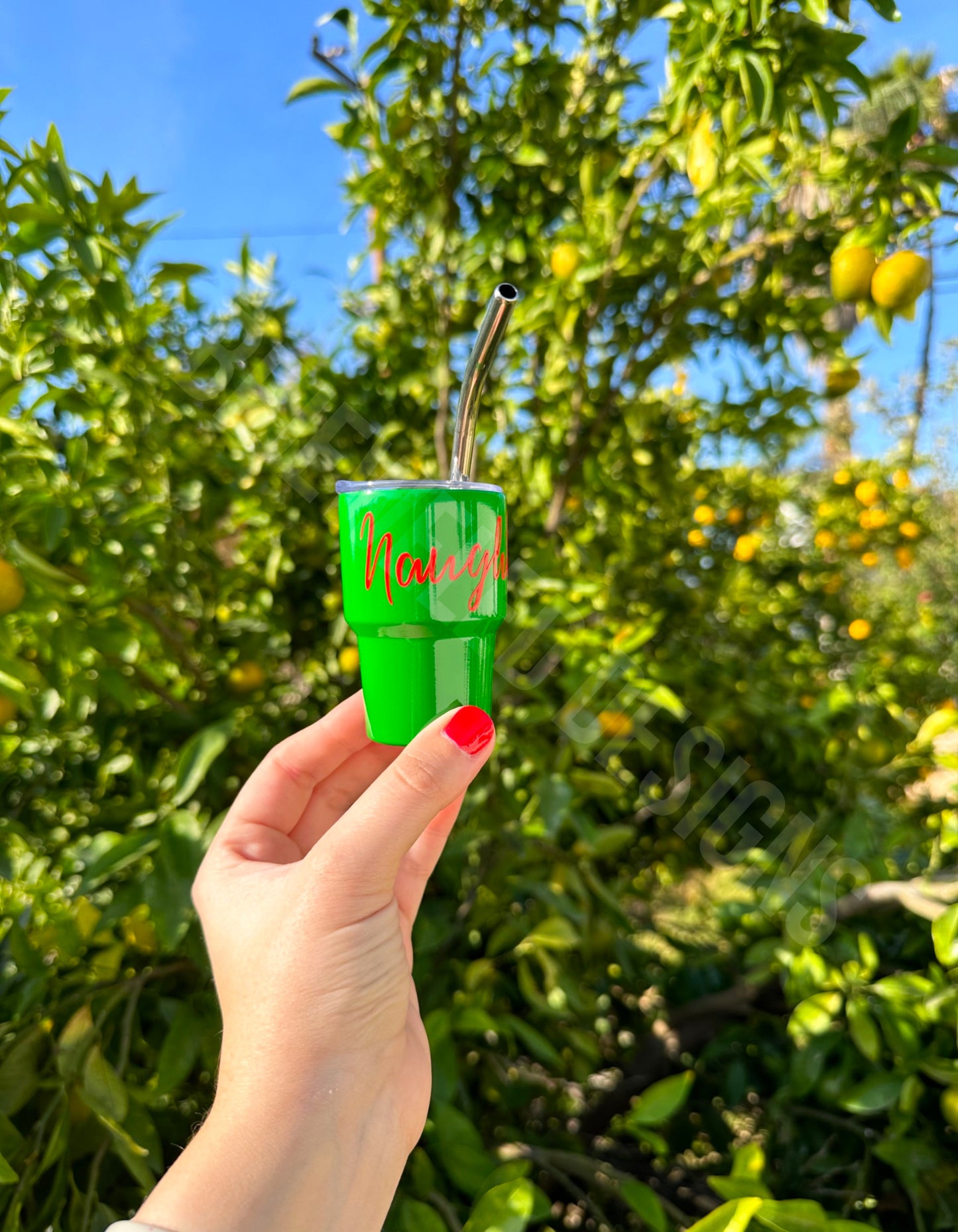Naughty or Nice Mini Tumbler