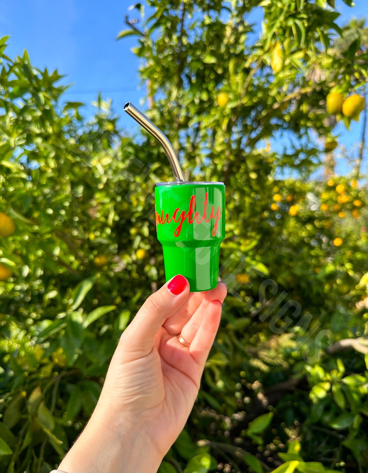 Naughty or Nice Mini Tumbler