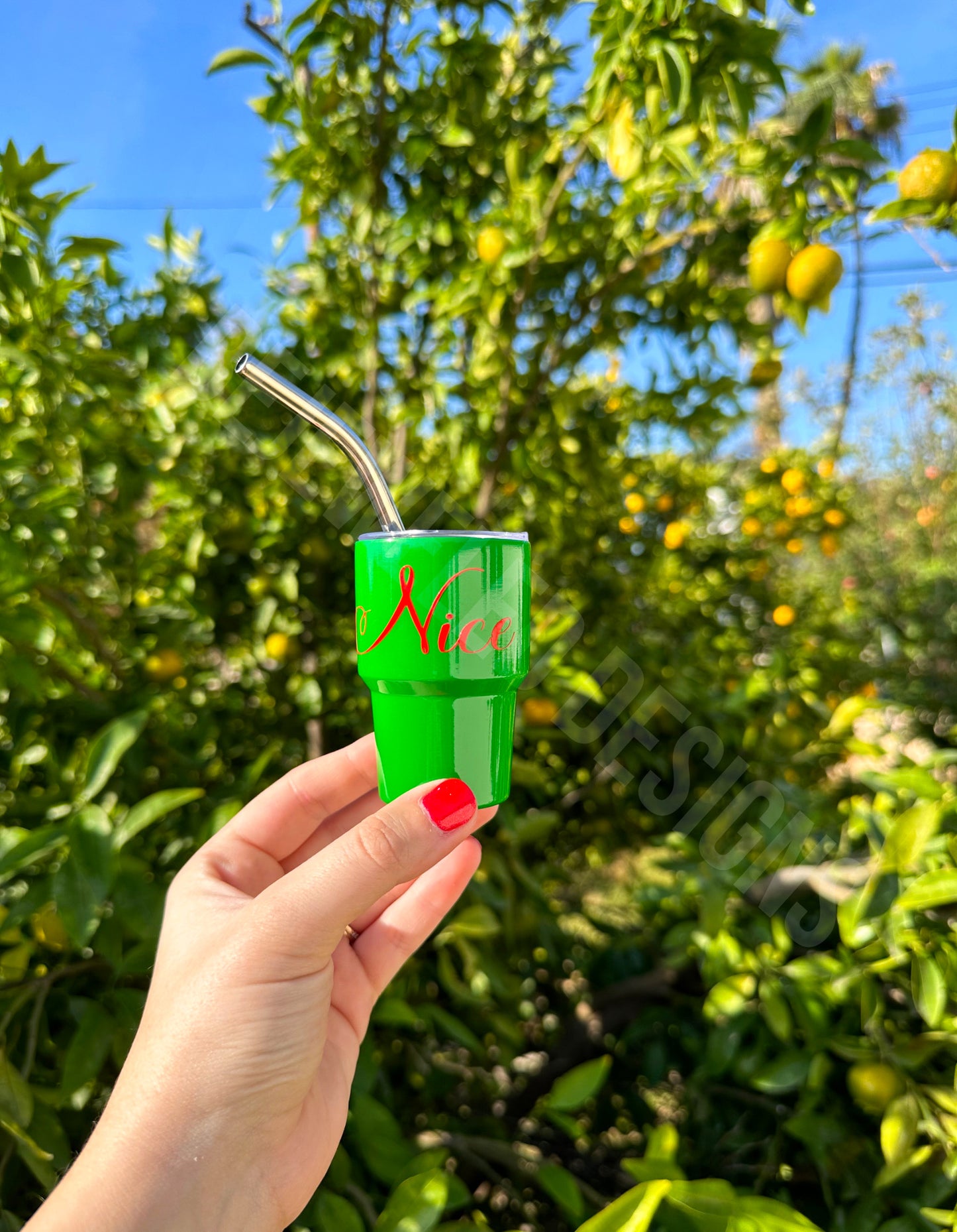Naughty or Nice Mini Tumbler