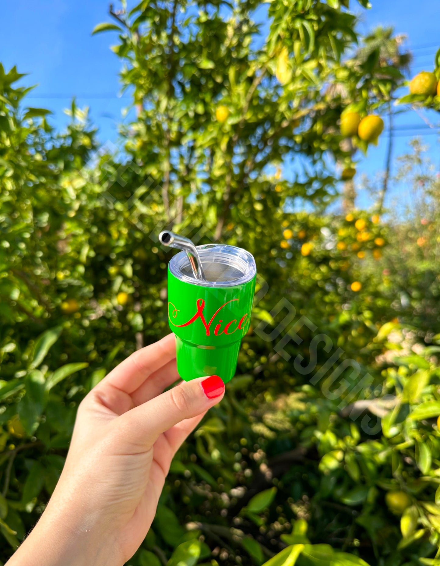 Naughty or Nice Mini Tumbler