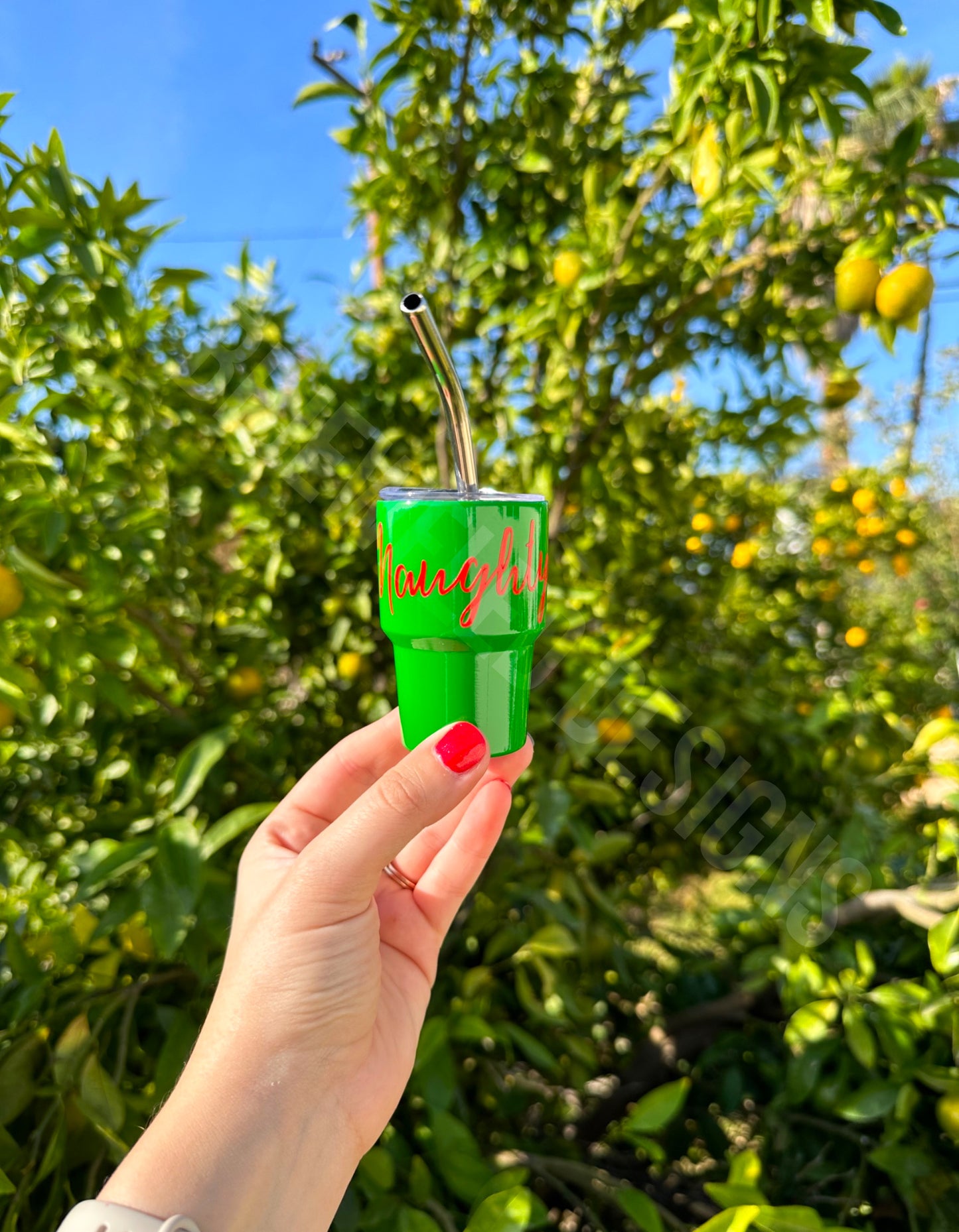Naughty or Nice Mini Tumbler