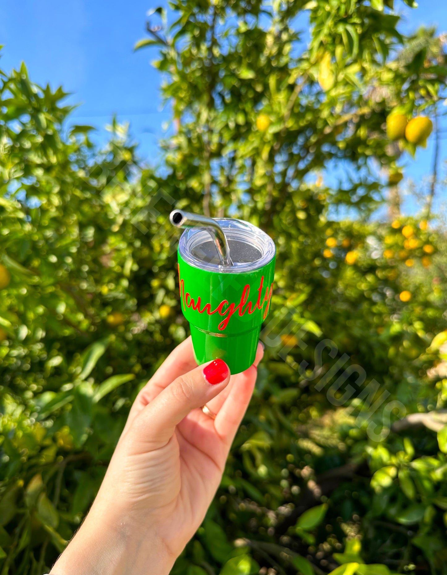 Naughty or Nice Mini Tumbler