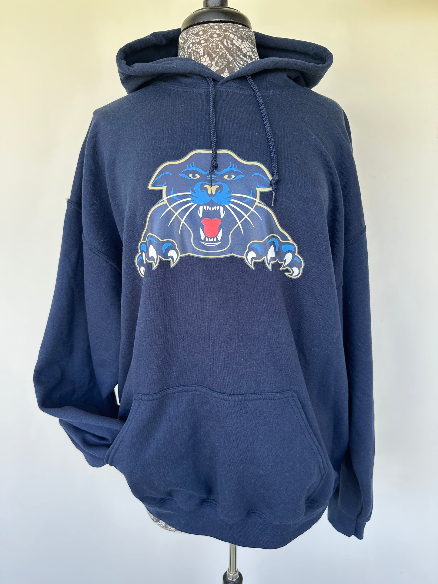 Panthers Hoodie - XL