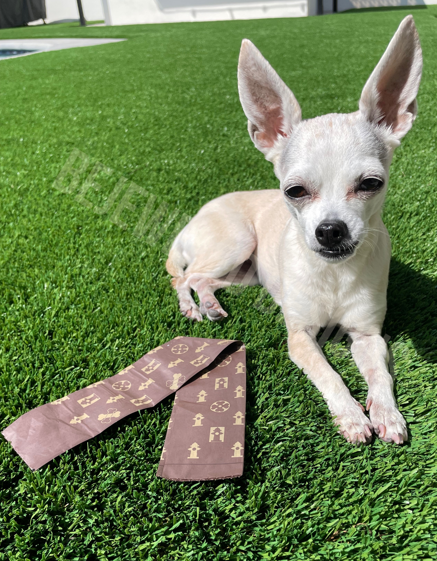Dog Pooie Vui Bags
