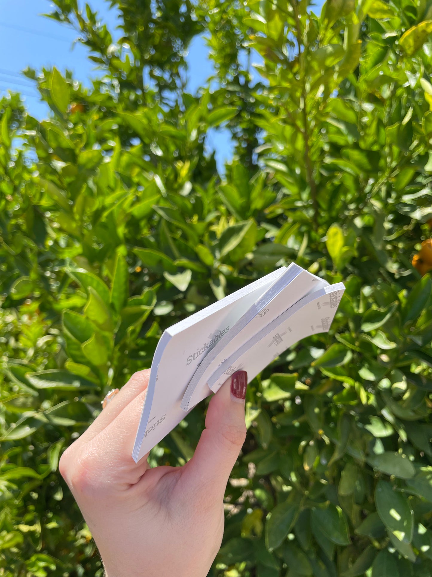 3x3 Flower Sticky Note