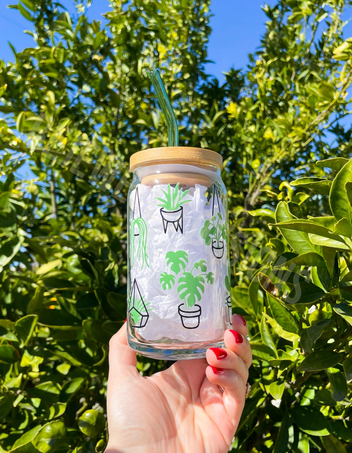 Succulents Beer Can