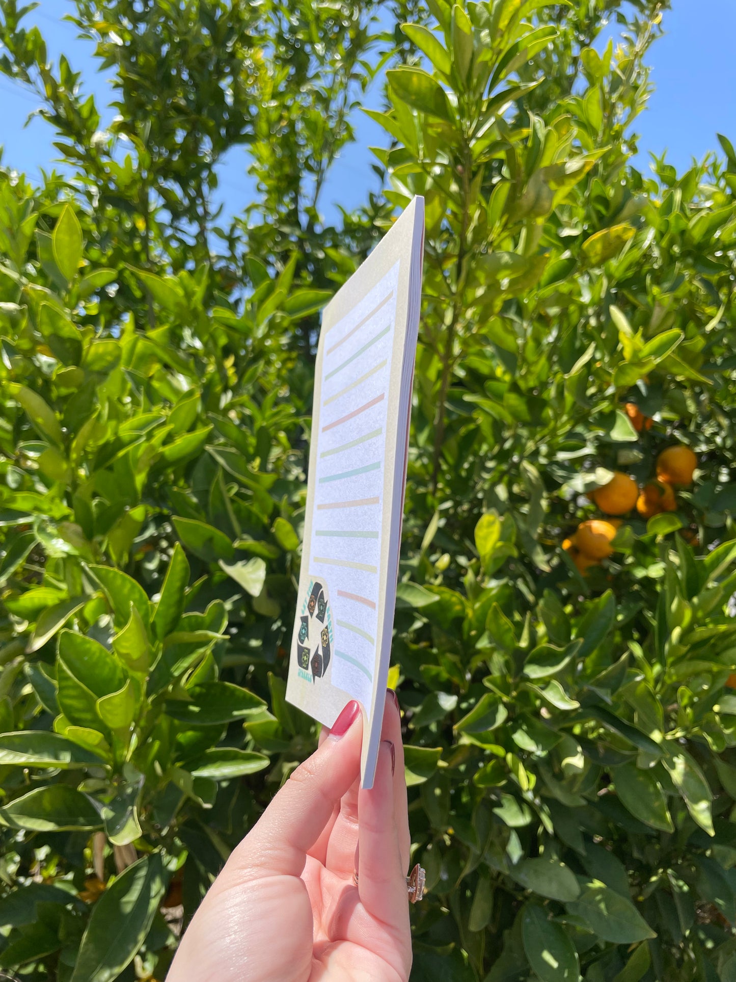 5x7 Let The Earth Sparkle Notepad