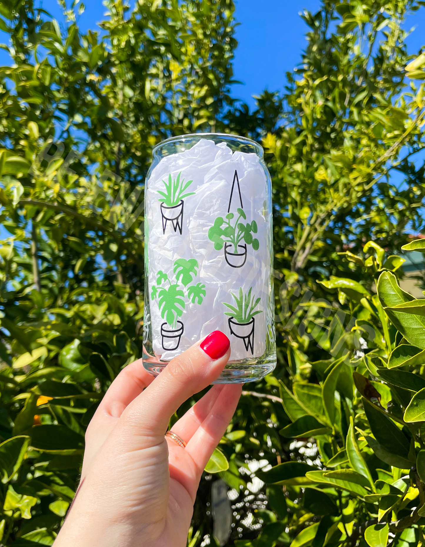 Succulents Beer Can