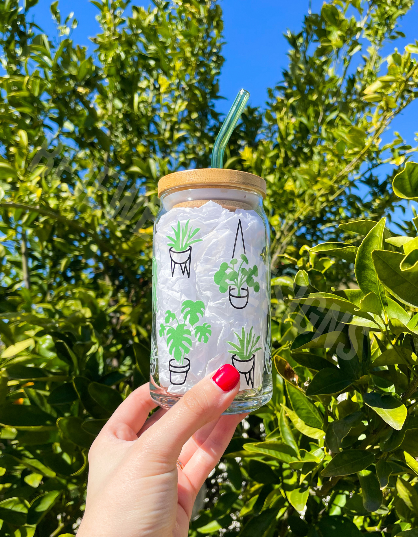 Succulents Beer Can