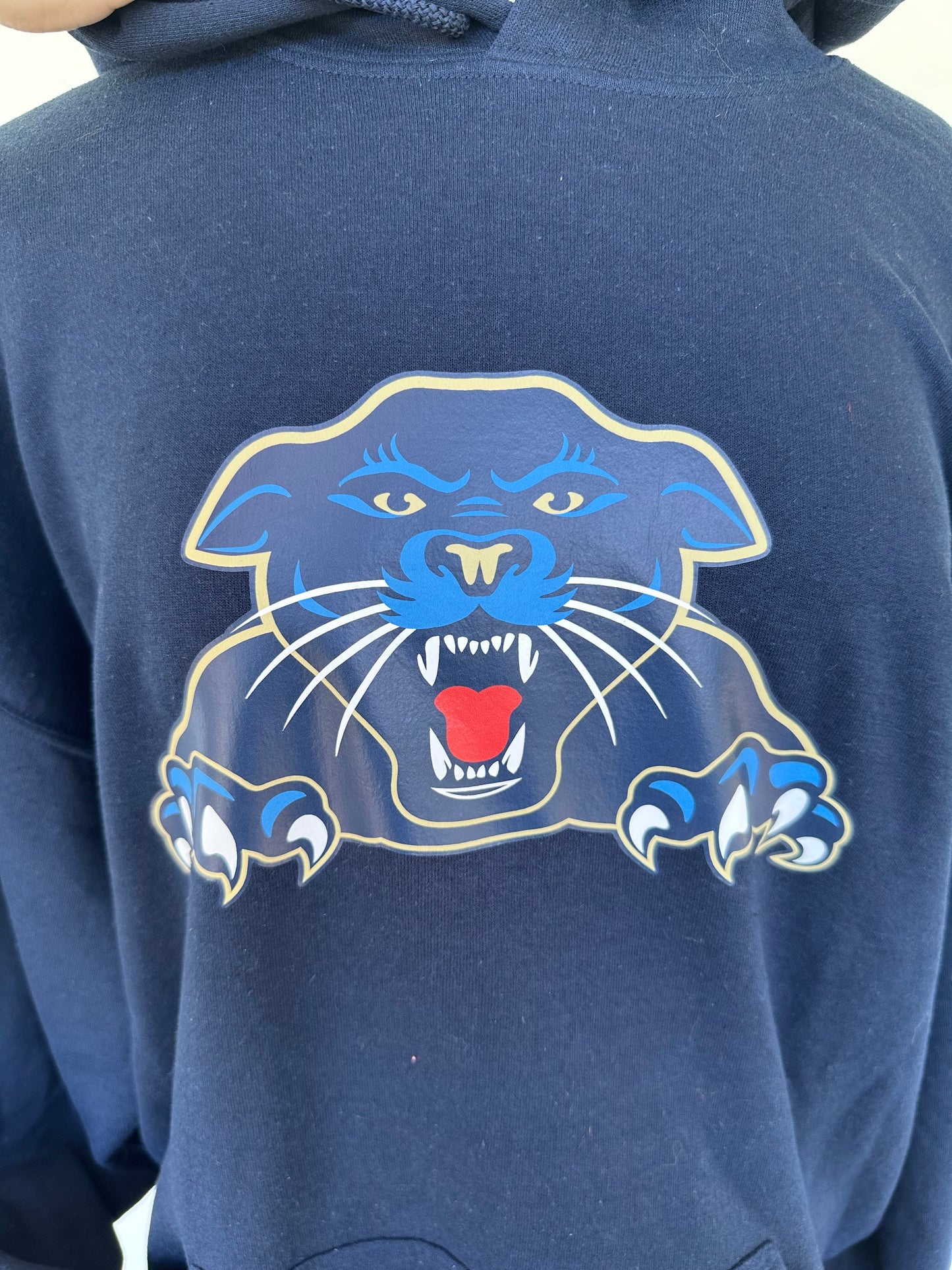 Panthers Hoodie - XL