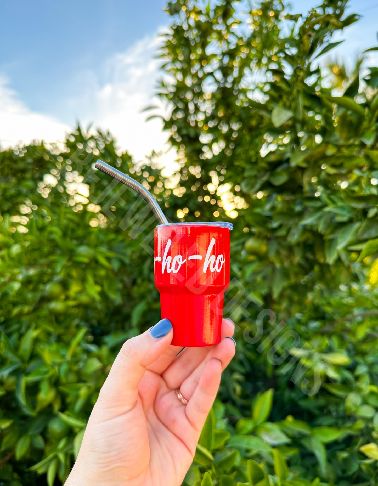 Ho Ho Ho Mini Tumbler