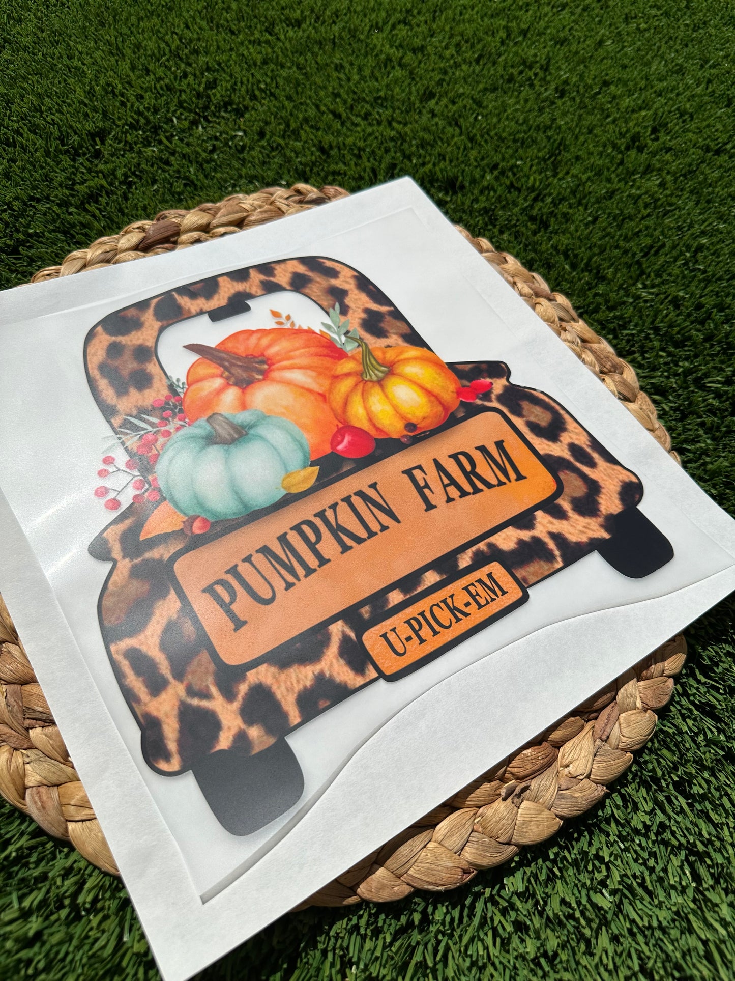 Pumpkin Farm Shirt