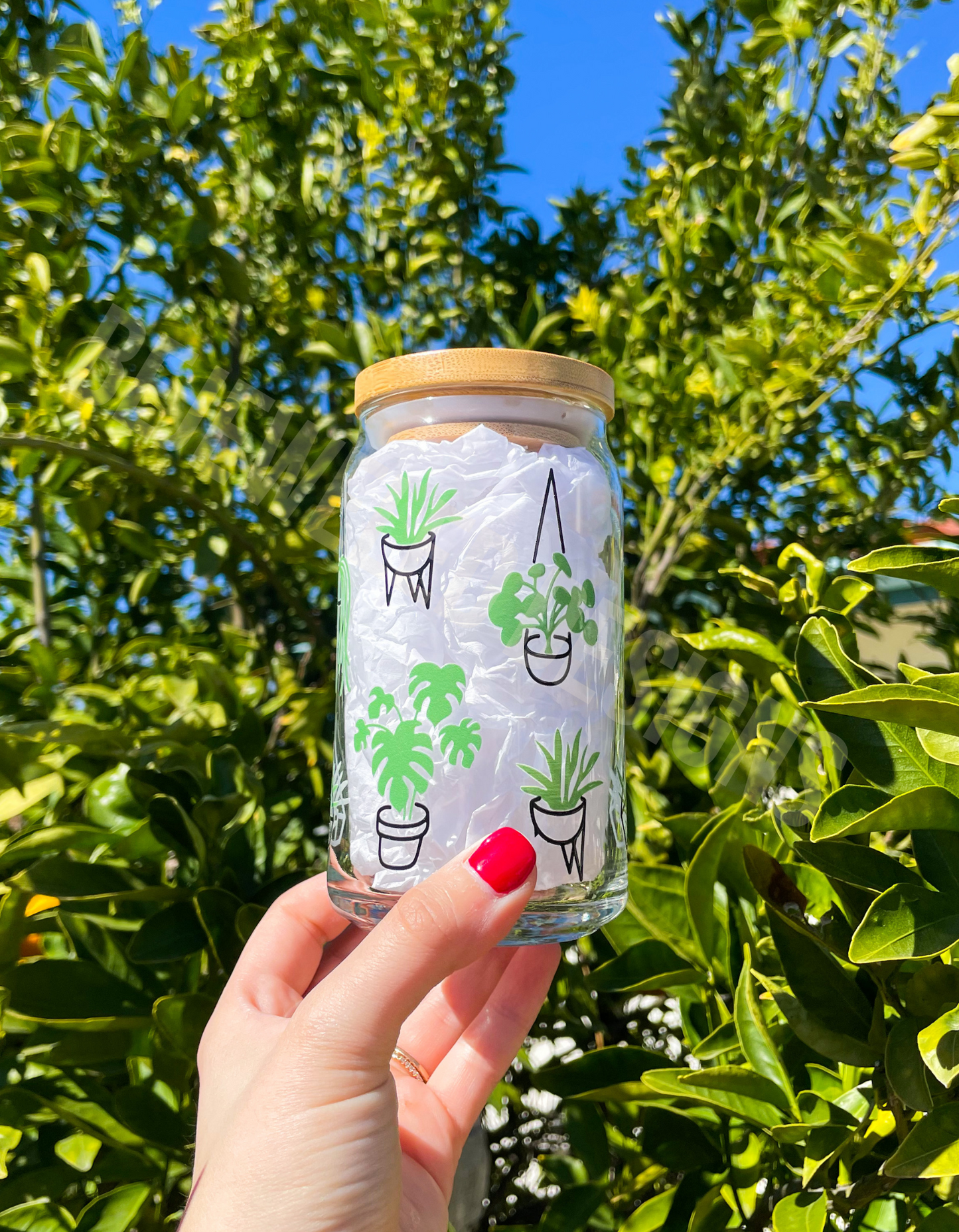 Succulents Beer Can