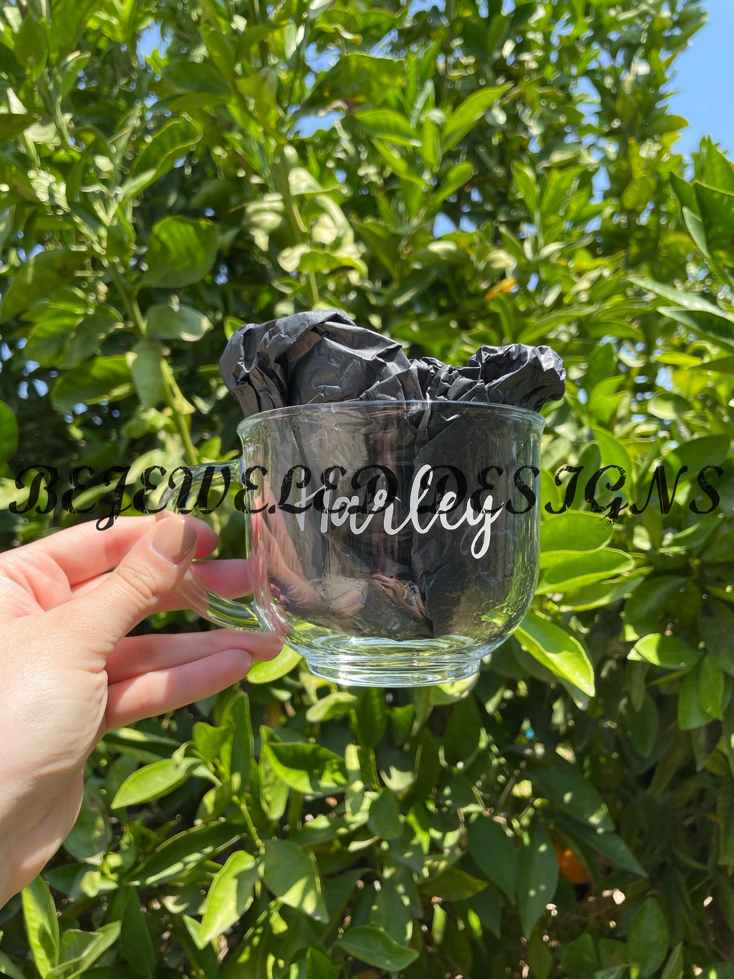 Custom Animal Glass Mug